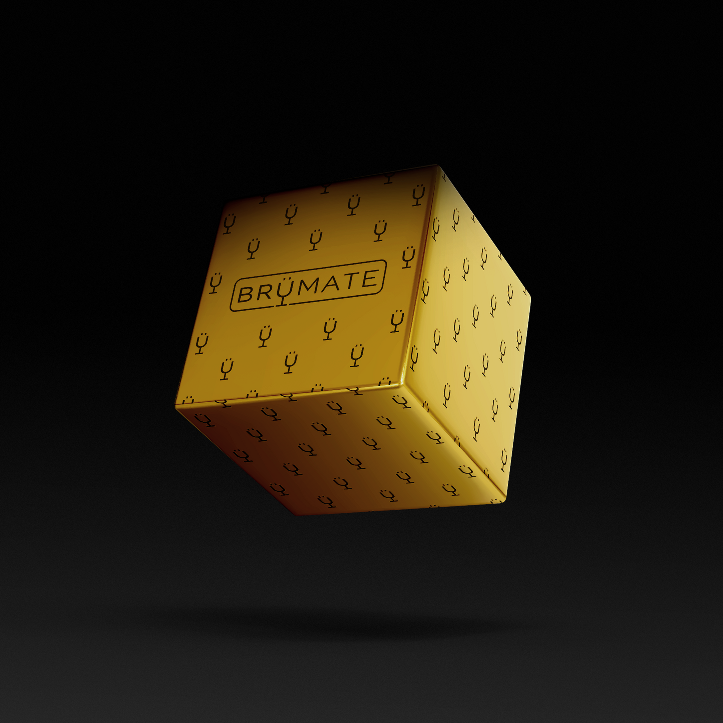 Premium Mystery Item ($39-70 Value) B1 image 1