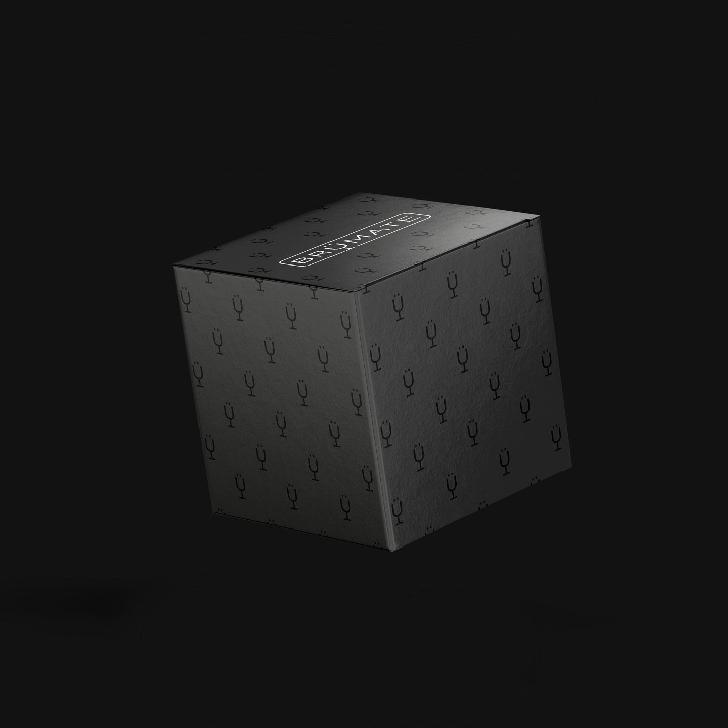 Mystery Item ($24-49 Value) T2 image 1